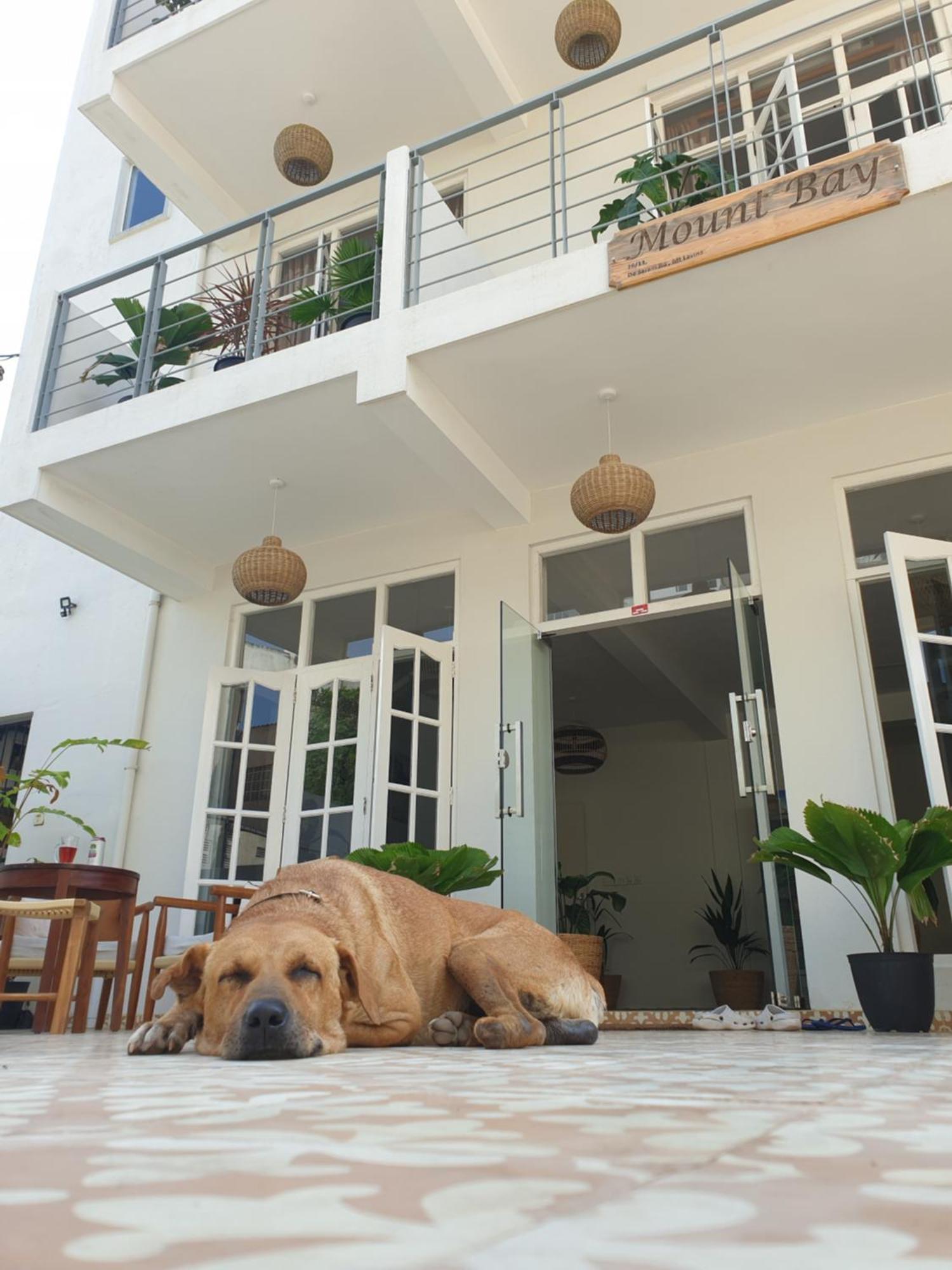 Mountbaylk Hotel Dehiwala-Mount Lavinia Bagian luar foto