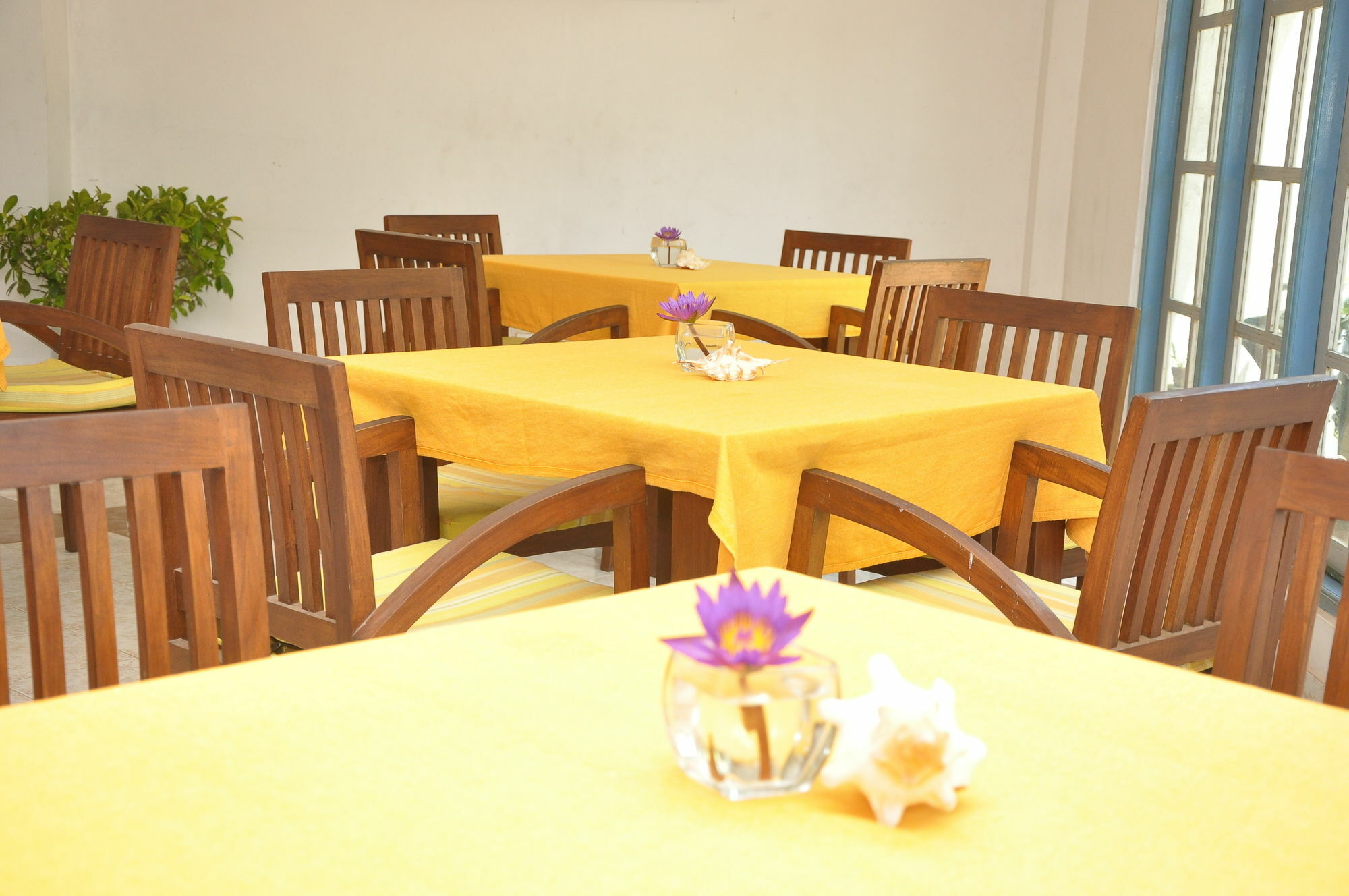Mountbaylk Hotel Dehiwala-Mount Lavinia Bagian luar foto
